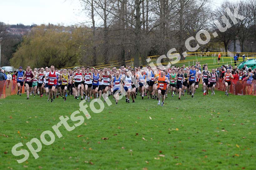 Red start, North East Harrier League.
